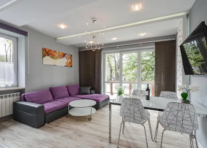 Apartament Hrabiego Centrum